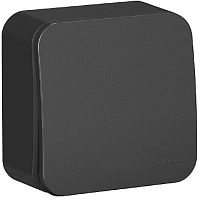 Выключатель накладной Systeme Electric Blanca 1-кл. антрацит картинка